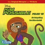 15: Die Fahrprüfung / Das Affen-Amulett (Hörspiel zur Disney TV-Serie) (MP3-Download)