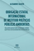 Obrigação estatal internacional de instituir políticas públicas ambientais (eBook, ePUB)