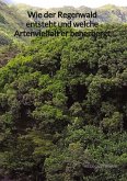 Wie der Regenwald entsteht und welche Artenvielfalt er beherbergt