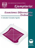 Ejemplario: Ecuaciones Diferenciales Ordinarias (eBook, ePUB) Ejemplario: Ecuaciones Diferenciales Ordinarias (eBook, ePUB)