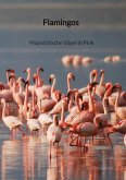 Flamingos - Majestätische Vögel in Pink