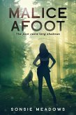Malice Afoot (Molly Fraser Mysteries, #3) (eBook, ePUB)