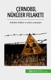 Çernobil nükleer felaketi (eBook, ePUB)