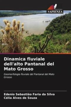 Cover Dinamica fluviale dell'alto Pantanal del Mato Grosso