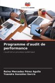 Programme d'audit de performance
