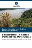 Flussdynamik im oberen Pantanal von Mato Grosso