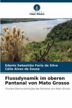 Flussdynamik im oberen Pantanal von Mato Grosso - Faria da Silva, Edenio Sebastião;de Souza, Célia Alves