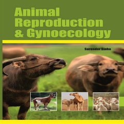 Cover Animal Reproduction and Gynecology (eBook, ePUB)
