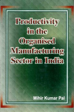 Cover Productivity in the Organised Manufacturing Sector in India (eBook, ePUB)