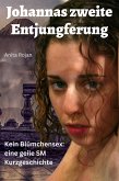 Johannas zweite Entjungferung (eBook, ePUB)
