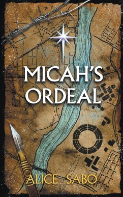 Micah's Ordeal - Sabo, Alice