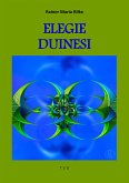 Elegie Duinesi (eBook, ePUB)