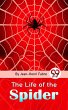 The Life Of The Spider (eBook, ePUB) - Bild 1