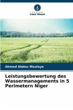 Cover Leistungsbewertung des Wassermanagements in 5 Perimetern Niger