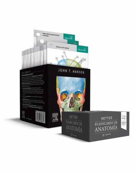 NETTER. FLASHCARDS DE ANATOMIA NETTER. FLASHCARDS DE ANATOMIA