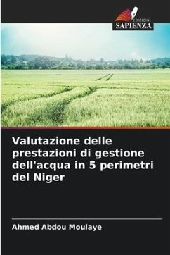 Valutazione delle prestazioni di gestione dell'acqua in 5 perimetri del Niger - Abdou Moulaye, Ahmed