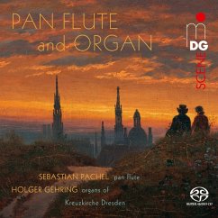 Pan Flute And Organ - Pachel,Sebastian/Gehring,Holger