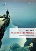 DIE BRISE DES MEERES (eBook, ePUB)