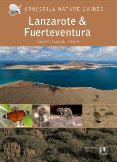 Lanzarote and Fuerteventura - Hilbers, Dirk;Woutersen, Kees;Swinkels, Constant