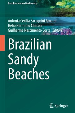 Brazilian Sandy Beaches