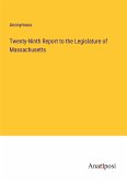 Twenty-Ninth Report to the Legislature of Massachusetts