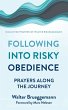 Following into Risky Obedience - Bild 1