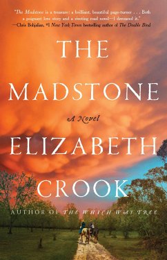 The Madstone - Crook, Elizabeth