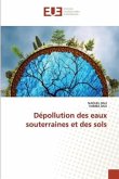 Dépollution des eaux souterraines et des sols