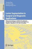 Lesion Segmentation in Surgical and Diagnostic Applications (eBook, PDF)