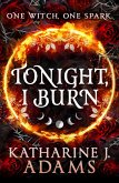 Tonight, I Burn (eBook, ePUB)