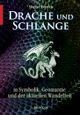 Drache und Schlange (eBook, ePUB)