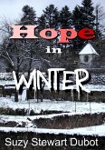 Hope in Winter (eBook, ePUB)