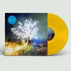 Vertigo Days (Transparent Yellow Colored) - Notwist,The