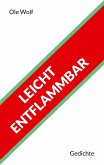 Leicht entflammbar (eBook, ePUB)