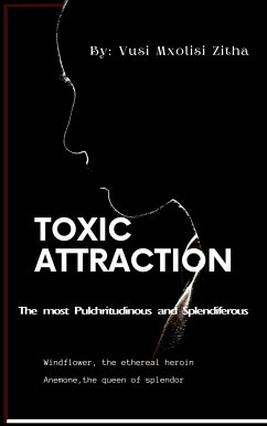 Toxic Attraction (eBook, ePUB) - Mxolisi Zitha, Vusi