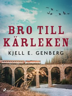 Cover Bro till kärleken (eBook, ePUB)