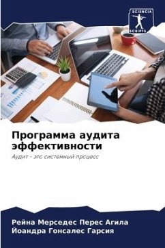 Программа аудита эффективности - &; &