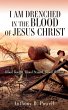 I Am Drenched in the Blood of Jesus... - Bild 1