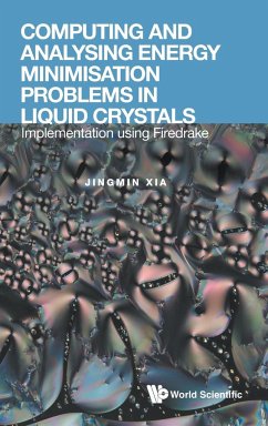 Computing and Analysing Energy Minimisation Problems in Liquid Crystals: Implementation Using Firedrake - Xia, Jingmin