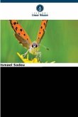 Schadinsekten (Lepidoptera) bei der Nerica-Reisproduktion 3