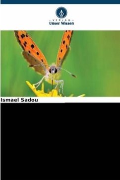 Schadinsekten (Lepidoptera) bei der Nerica-Reisproduktion 3 - Sadou, Ismael