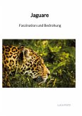 Jaguare - Faszination und Bedrohung