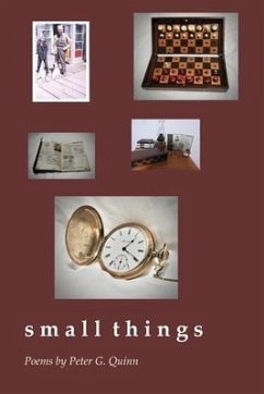 small things - Quinn, Peter G.