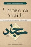 A Treatise on Servitude (eBook, ePUB)