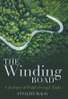 The Winding Road - Bild 1
