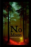 No Moon