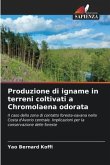 Produzione di igname in terreni coltivati a Chromolaena odorata