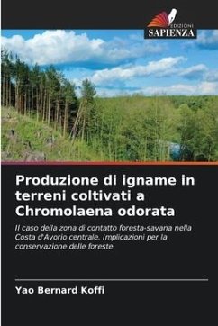 Produzione di igname in terreni coltivati a Chromolaena odorata - Koffi, Yao Bernard