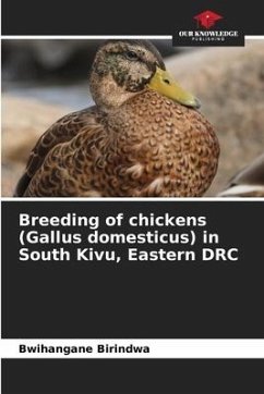 Breeding of chickens (Gallus domesticus) in South Kivu, Eastern DRC - Birindwa, Bwihangane