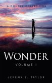 Wonder: Volume I